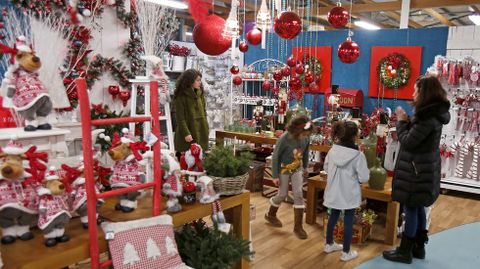 Navidad en Viveiros O Pi�eiro