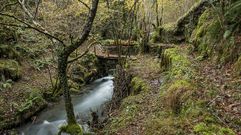 Im�genes de la ruta de Seceda a Lousadela