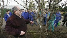 La producci�n de las plantas de batata se realizar� en los viveros de Seavia. 