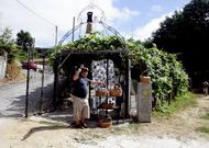 El Camino tiene se�alizaciones en el tramo pol�mico, como la que muestra la foto de archivo.