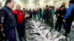 La primera subasta de la costera en Burela suscit� gran expectaci�n el pasado 15 de junio