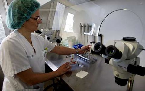 La fecundacin in vitro del Xeral funciona desde el 2001 y ha logrado casi 1.500 bebs.