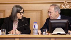 Mercedes Ros�n y Xos� S�nchez Bugallo, en el pleno celebrado este jueves por el Concello de Santiago
