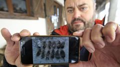 Una invasi�n de ratas amenaza las ayudas de la PAC en la provincia de Lugo