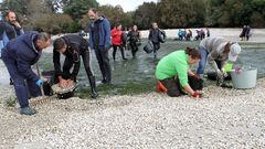 Mariscadores de Noia, en noviembre, intentando salvar el bivalvo