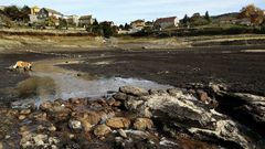 Vigo se plantea llevar agua a la ciudad en barcos cisterna