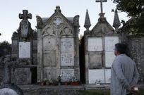 El nido de avispas fue localizado por un vecino el mi�rcoles. 
