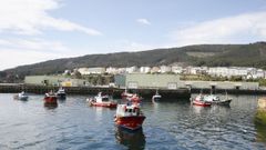 En marzo del 2021, pesqueros se concentraron en el puerto de Burela para protestar por normas que deben cumplir desde el pasado d�a 10 de enero y por las que las cofrad�as vuelven a movilizarse en toda Espa�a este 19 de enero del 2026.