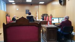 La acusada reconoci� los hechos durante la vista