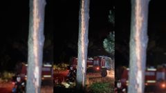 El rayo alcanz� a un �rbol en el monte de San Alberto