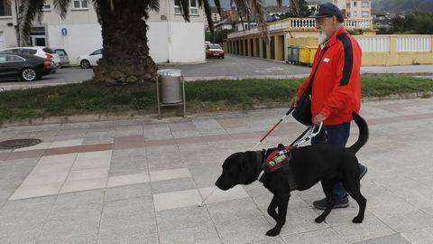 Un can-gu�a axuda a unha persona con dificultades de visi�n