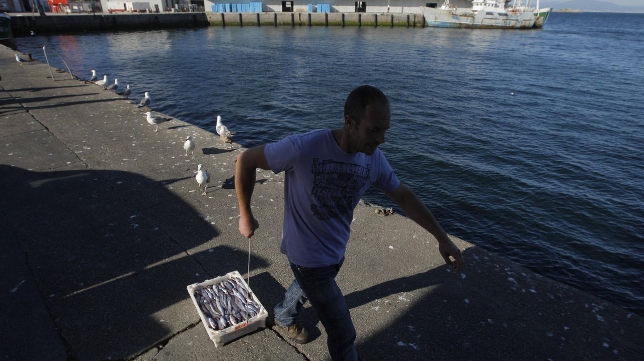 El tajo a xarda, lirio y abadejo dejaría muy tocado al arrastre de litoral gallego