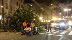 En enero del 2016, un �rbol cay� sobre una mujer en O Burgo. Fue indemnizada con 4.000 euros