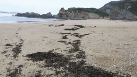 La playa de San Romn, en O Vicedo, en la que se intervendr