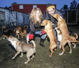 Parte de los perros, ayer en Agualada. 