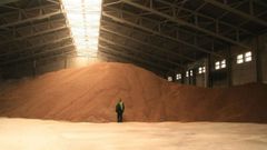 Instalaciones de Pellet Asturias, donde producen 40.000 toneladas de pellets de pino al a�o