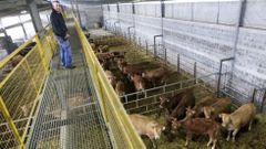 Manuel Fern�ndez en la granja de la Asociaci�n Monte Forgoselo