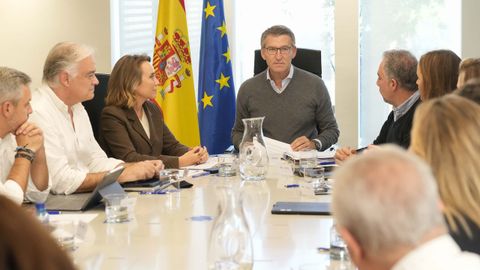 El presidente del PP, Alberto Nez Feijoo, durante la reunin con el comit de direccin