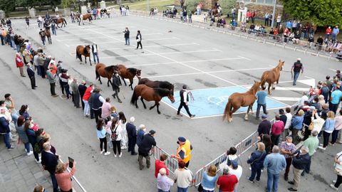 Feira cabalar del pasado año en A Fonsagrada