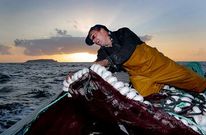 Trabajador del pesquero �O santo do mar� en plena jornada de trabajo en Malpica.