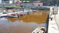 Aspecto de la marea roja en la d�rsena del puerto de Campelo, en Poio