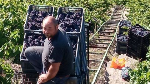 Alberto P�rez trabaja seis hect�reas de vi�edo y venda la uva a bodegas 