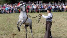 En la fotograf�a, de archivo, un momento de la pasada edici�n de la cita de Magalofes.