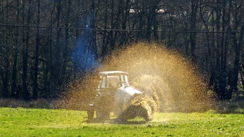 El pur�n puede usarse para la obtenci�n de gas 