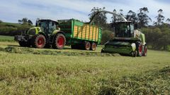 Trabajos de ensilado del campo en Mazaricos