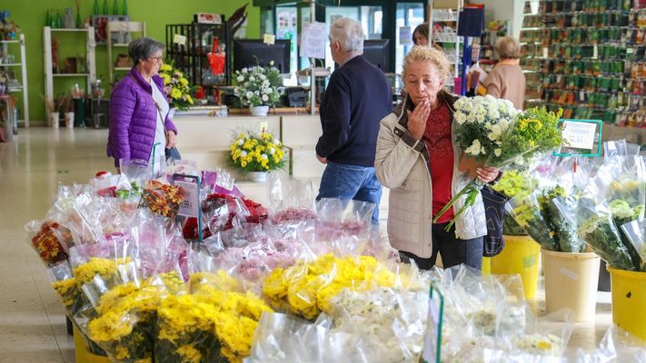 As� se prepara la campa�a de Difuntos en la �nica cooperativa floral de Galicia
