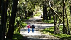 Vigo ya tiene algn corredor verde como el sigue el curso del ro Lagares.