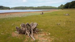 Imagen del embalse de As Forcadas tomada el viernes.