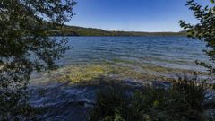 Imagen del Lago de As Encrobas