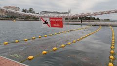 Algas en la zona de O Parrote. 