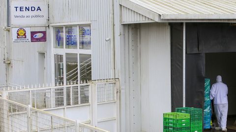 Al menos cinco positivos entre los trabajadores del matadero de aves que el grupo Sada tiene en Castro de Ribeiras de Lea