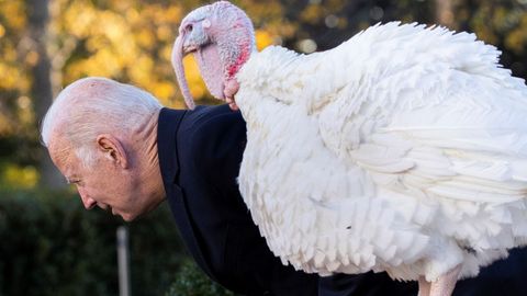 Biden reapareci� tras su colonoscopia en el tradicional acto del indulto al pavo del D�a de Acci�n de Gracias