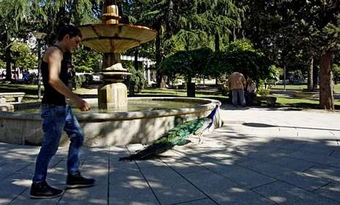 <span lang= es-es >Imagen cotidiana</span>. La presencia de pavos reales en el jard�n de O Pos�o es una estampa familiar en Ourense. Forma parte de la historia de muchos ourensanos. Desde hace m�s de cincuenta a�os han dado vida a esta zona verde la ciudad, conviviendo con normalidad entre la gente.