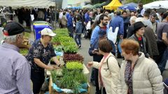 Una imagen de la Feira da Plantaci�n, que se celebra hoy en San Sadurni�o