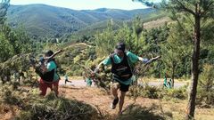 Voluntariado del proyecto realizando labores de prevenci�n en Castrelo do Val.