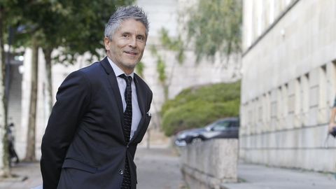Ministro del Interior: Fernando Grande-Marlaska