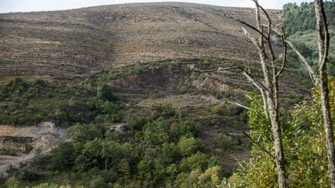 El socavn de la antigua mina de A Toca se abre en medio de una ladera que hoy est cubierta de viedos