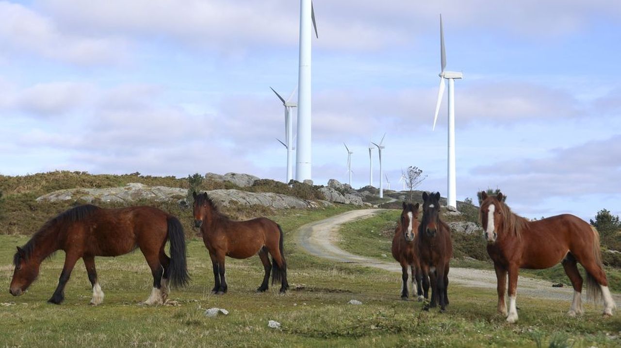 La eólica se reivindica contra los efectos de la guerra y advierte que nuevos impuestos pueden frenar la carrera renovable