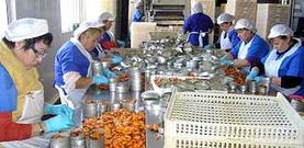 La conservera, que  result� da�ada por el incendio de la nave de Lago Paganini, reinici� ayer la producci�n con 39 trabajadores.