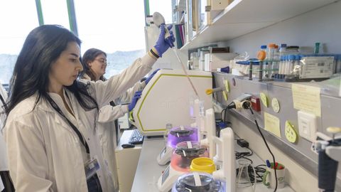 Identificar a personas con alto riesgo de desarrollar p�rkinson antes de la aparici�n de los s�ntomas es uno de los objetivos del grupo�de Neurobiolog�a Celular y Molecular de la Enfermedad de Parkinson del CiMUS.