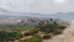Vacas en una parcela ms hmeda de la Serra de San Mamede, en Vilar de Barrio, por la cercana de una fuente
