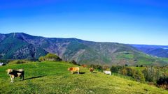 A ruta da Campa de Barreiro