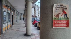 Cartel que cuelga en una columna de los soportales de Lodeiro, cuyas aceras, que son propiedad de la comunidad de vecinos aunque su uso es p�blico, sufren a diario las consecuencias de propietarios de mascotas que no limpian cacas y pises