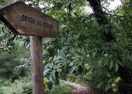 El parque tendr� como punto vertebrador la capilla de Os Ramallos, al lado del r�o. 