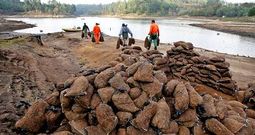Una de las reposiciones de los sacos con corteza de eucalipto realizadas por operarios en el embalse del Umia, en Caldas.