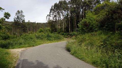4 Por la parte baja de San Roque. El vial se cruzar� con la carretera de acceso a la cima a la altura aproximada de P� de Boi, por encima de Campo de Verdes, Campo de Urraca y el cementerio